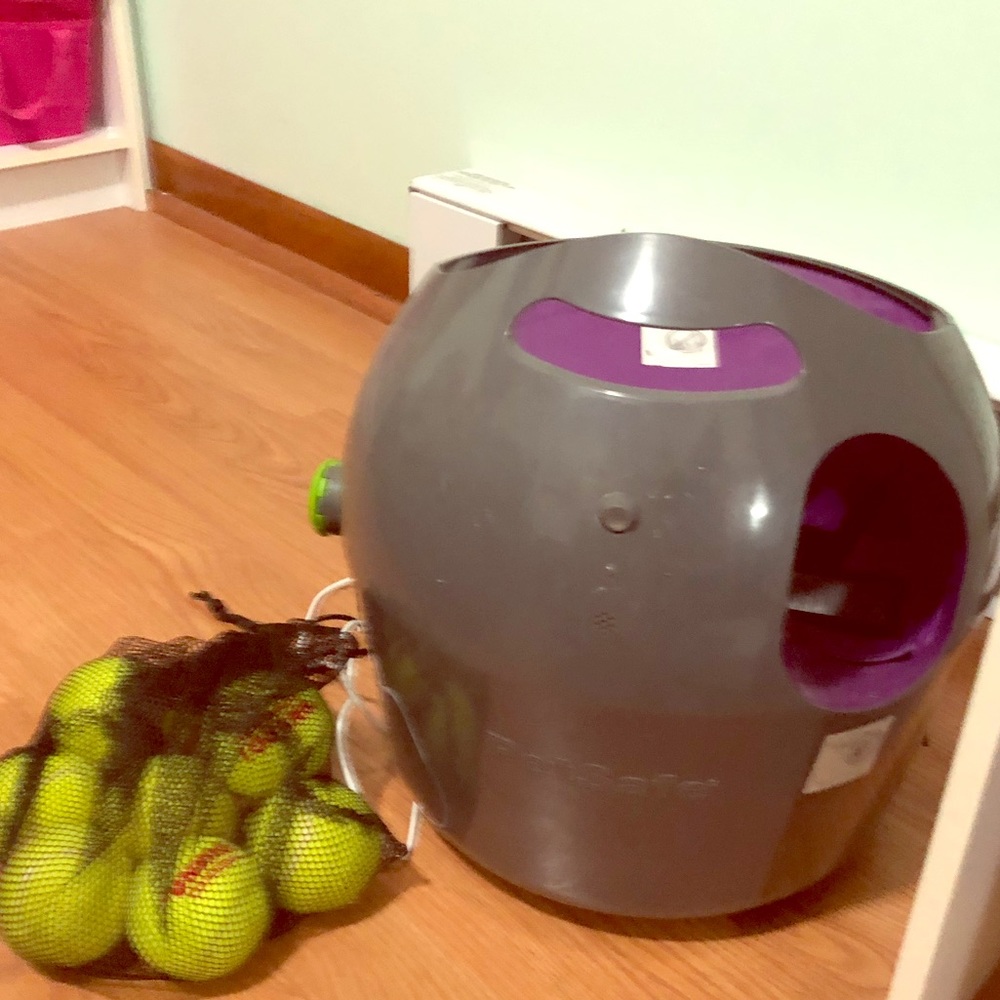 PetSafe Automatic Ball Launcher